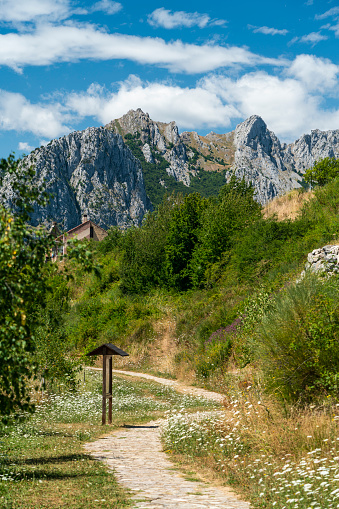 Young woman with backpack walking on mountain