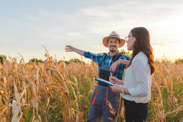 istock Farmer showing his land to the inspector 1340993671
