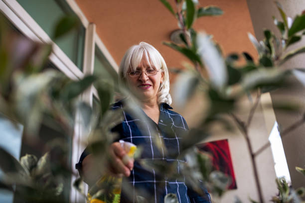 istock Woman Spraying a Plant 1340997105