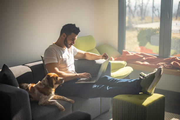 istock Young bearded man in tshirt sitting on sofa and using laptop 1341000849