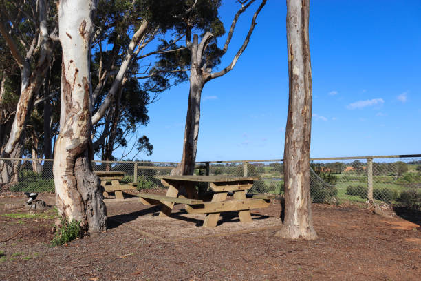 istock picnic table at scenic outlook 1341006155