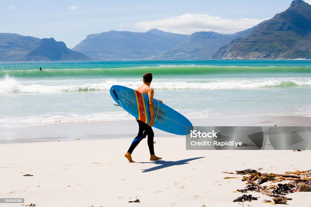 Fal Surfer wymeldowywanie - Zbiór zdjęć royalty-free (Surfing)