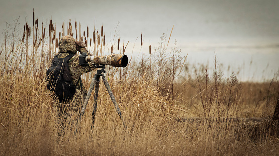 Wildlife camouflage photographer waiting for a large bird photographed in Skagit Valley, WA.