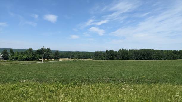 istock Spring on the fields of the Townships (Ph3) 1341011424