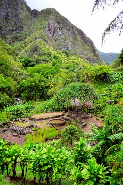'iao village - maui iao valley state park hawaii islands mountain imagens e fotografias de stock