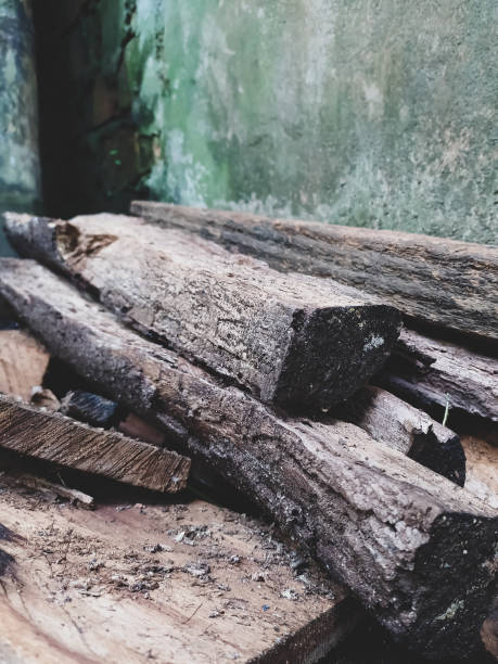 istock a bunch of firewood near the wall 1341018954
