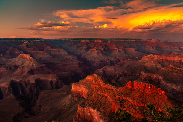 istock Grand Canyon National Park 1341020095