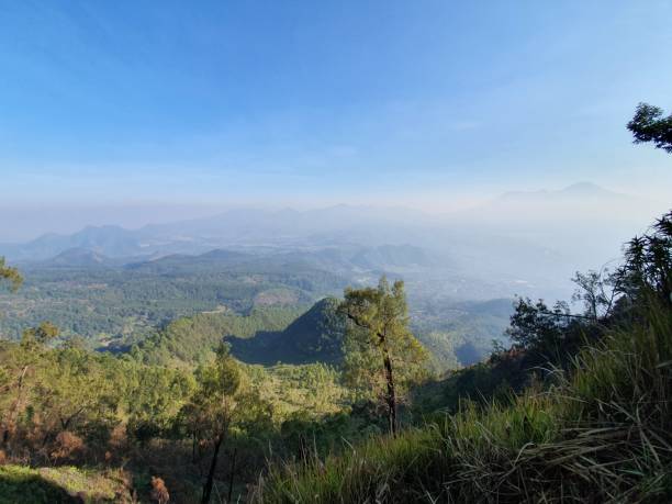 istock Foggy View in the Morning from a Hill 1341023483