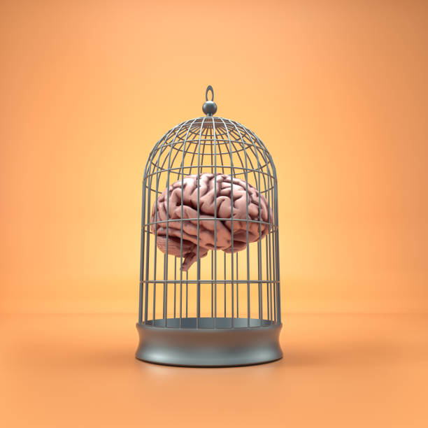 cerveau humain à l’intérieur d’une cage à oiseaux - bird brain photos et images de collection