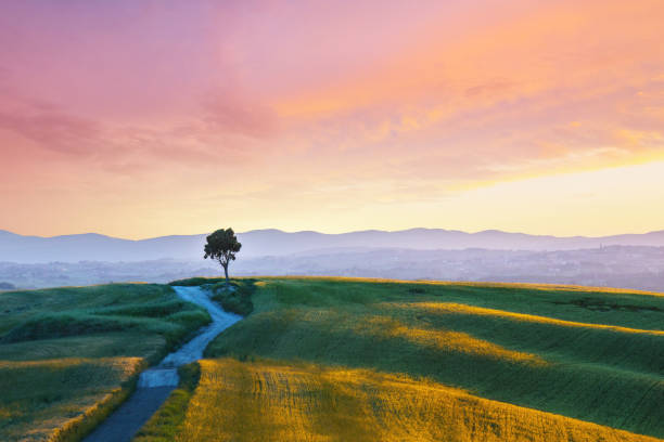 Solitude - Landscape in Tuscany at sunset Location: Crete Senesi, Siena Province, Tuscany, Italy crete senesi stock pictures, royalty-free photos & images