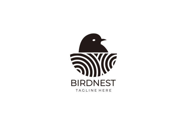 둥지 일러스트 디자인 기호 벡터 템플릿 - animal nest bird birds nest empty stock illustrations