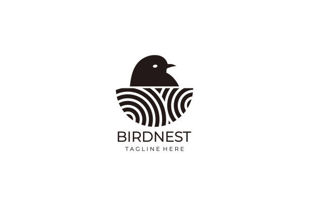 ilustrações, clipart, desenhos animados e ícones de modelo de vetor de símbolo de projeto de ilustração ninho - ninho de pássaro