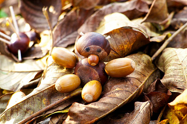 Figurine made of chestnuts stock photo