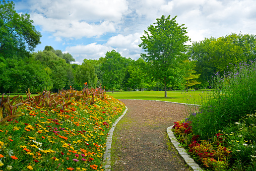 Beautiful meadow with flowers and path in city public park.