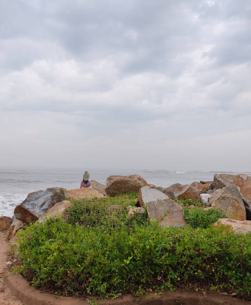istock Nature by the Beach and Sea 1341041261