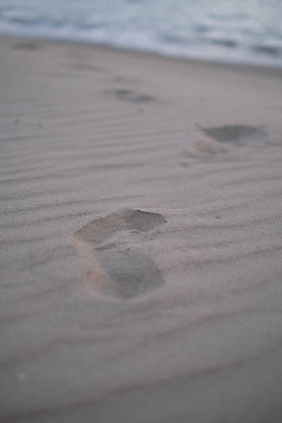 Ilua Footprints 800+ Footprints In Sand Washed Away By Wave Stock Photos, Pictures ...