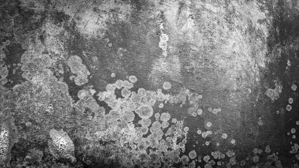 istock abstract background of black and white wall. grunge background 1341051030