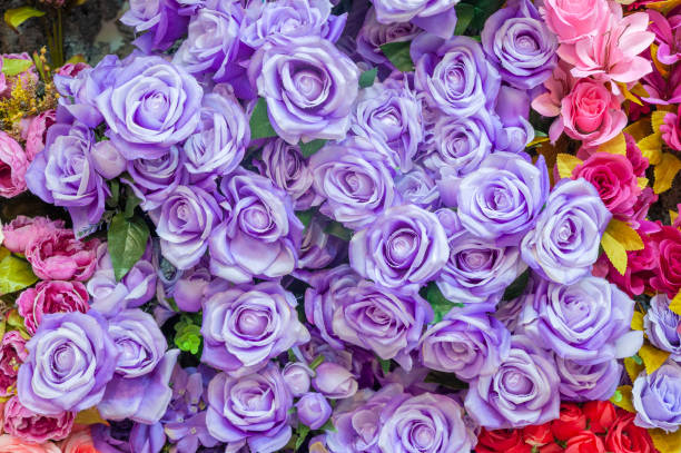 istock Flower garden, parterre, flowers, beatiful spring. 1341051396