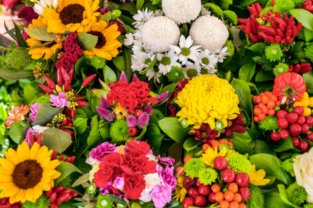 una amplia y colorida variedad de flores con girasoles, clavenes, margaritas y gerberas - fondo de pantalla hd de primavera fotografías e imágenes de stock