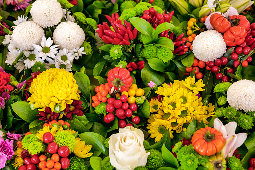 A wide and colorful expanse of some varieties of flowers and floral pattern with Carnations, Daisies and Gerberas, decorated with some delicious red pepper plants. Image in High Definition format.