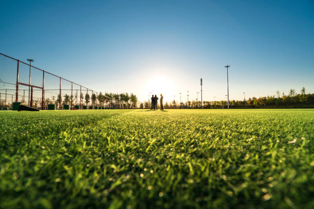 campo de deportes - soccer soccer field grass artificial turf fotografías e imágenes de stock