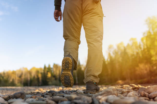 istock hiker men walking in the woods 1341057609