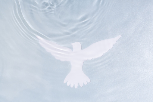 Silueta de paloma blanca sobre fondo de agua. Símbolo del bautismo. photo