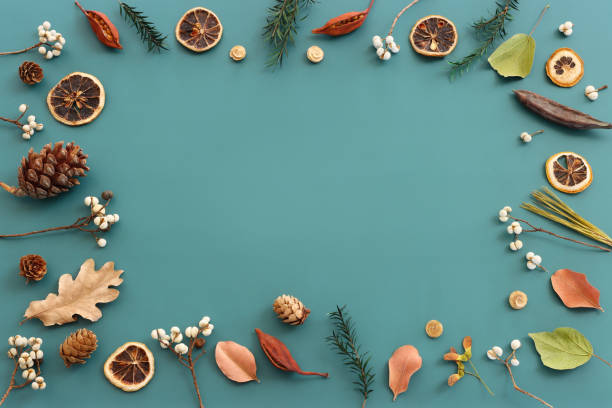 istock Top view image of autumn forest natural composition over green background .Flat lay 1341059602