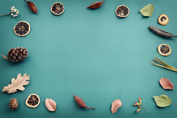 istock Top view image of autumn forest natural composition over green background .Flat lay 1341059604