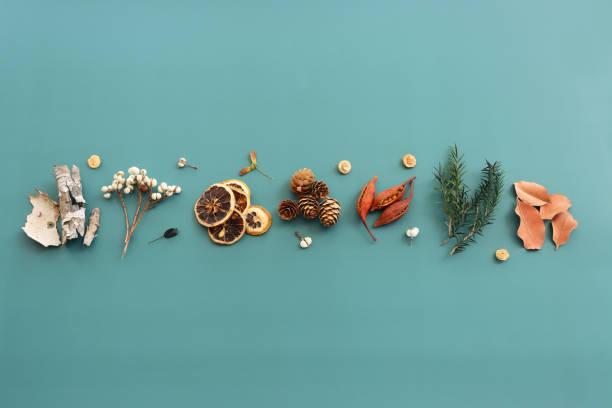 istock Top view image of autumn forest natural composition over green background .Flat lay 1341059605