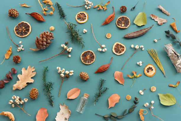 istock Top view image of autumn forest natural composition over green background .Flat lay 1341059613
