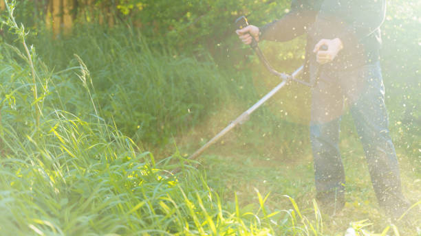 istock man mows grass with trimmer, focus on foreground blurred background 1341062385