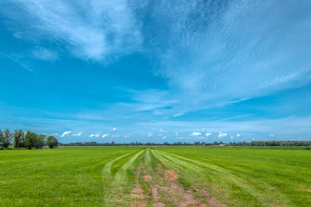istock Farmland At Abcoude The Netherlands 1341063124