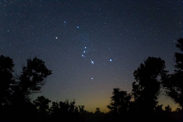 istock closeup Orion constellation on night starry sky above forest silhouette, night natural landscape 1341071294