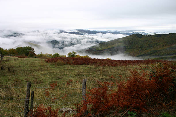 Early Morning in the Cevennes stock photo