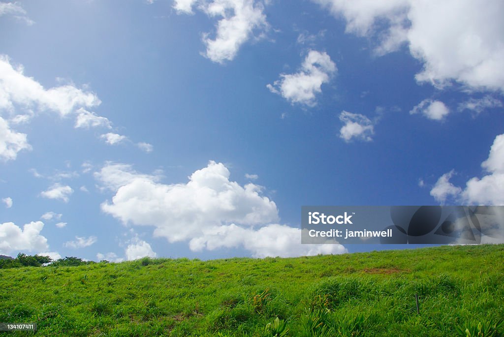 Idyllische rustikalen malerischen mit Himmel und Viehweide - Lizenzfrei Bild-Ambiente Stock-Foto