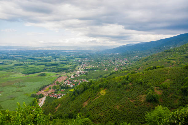 istock A view of Lake Efteni 1341074536