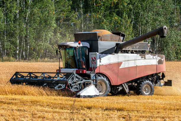 istock Modern combine harvester working in the field on a clear sunny day 1341076310