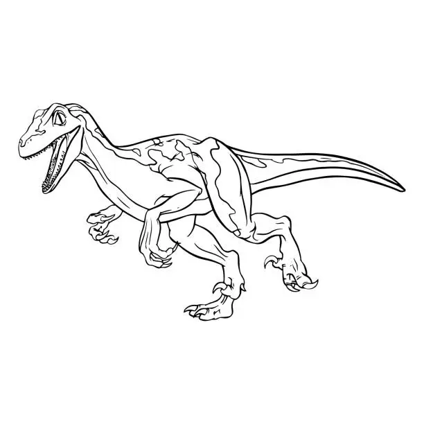 Vector illustration of Velociraptor dinosaur cartoon linear sketch for coloring book isolated on white background. Vector clipart