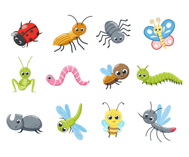 A Collection Of Cute Insects Funny Bugs Caterpillar Fly Bee Ladybird Spider  Mosquito Cartoon Vector Illustration Stock Illustration - Download Image  Now - iStock