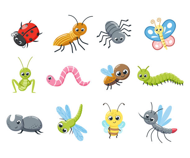 A Collection Of Cute Insects Funny Bugs Caterpillar Fly Bee Ladybird Spider Mosquito Cartoon Vector Illustration Stock Illustration - Download Image Now - iStock A Collection Of Cute Insects Funny Bugs Caterpillar Fly Bee Ladybird Spider Mosquito Cartoon Vector Illustration Stock Illustration - Download Image Now - iStock