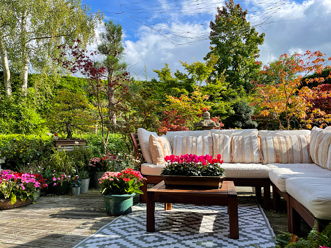Stock photo of ornamental Japanese-style garden with outdoor lounge area. Featuring whitewashed, grooved timber decking patio, Japanese bonsai maples and hardwood, cushion covered seating around outdoor plastic rug.