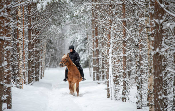 istock Woman horseback riding in winter forest 1341081083