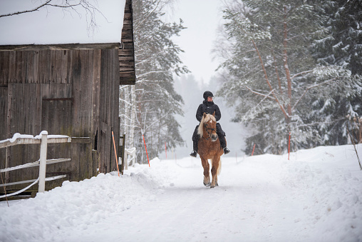 Woman horseback riding in winter forest