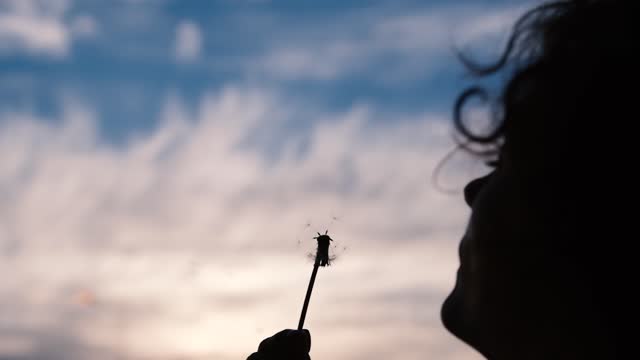 Portrait of a beautiful young woman blowing on a ripe dandelion in the evening against the backdrop of the setting sun