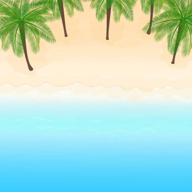 SO14 Vector illustration. Ocean from above. Banner, site, poster template. Paradise beach with waves and palm tree. phoenix arizona sun stock illustrations