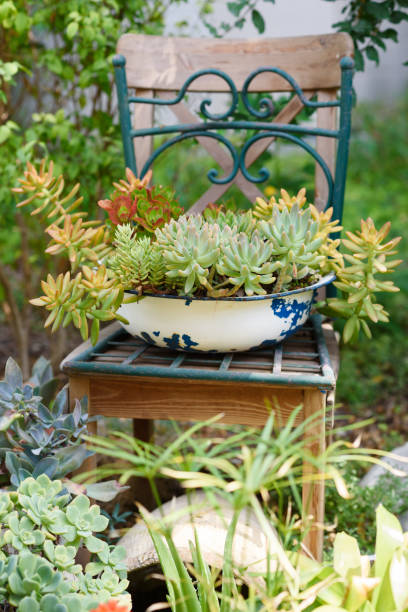 Reduce, reuse, recycle planter craft ideas.Recycled garden design and low-waste lifestyle Reused planter ideas. Old basin turn into garden flower pots. Recycled garden design, diy and low-waste lifestyle. cottagecore stock pictures, royalty-free photos & images