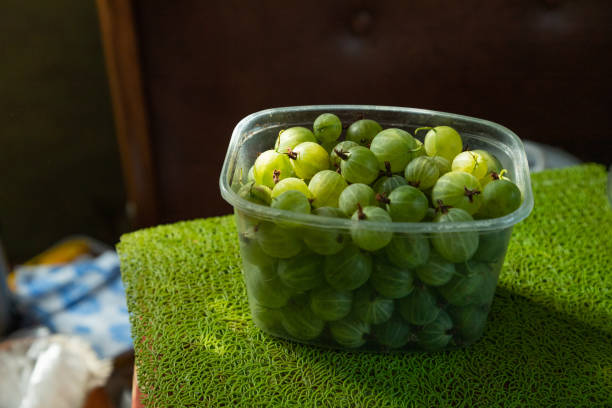 Plastic container with green gooseberries on the kitchen table. side view, close up, natural light, shadows.