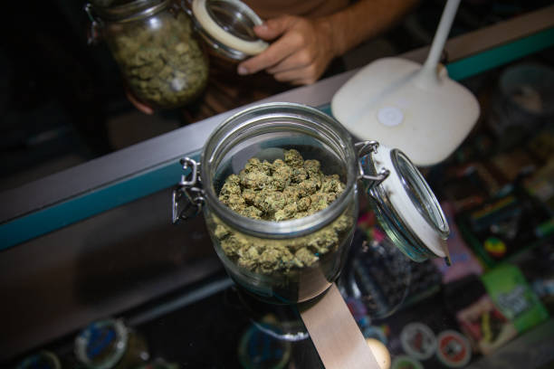 A opened jar filled with raw marijuana buds on a desk inside a coffee shop A opened jar filled with raw marijuana buds on a desk inside a coffee shop. cannabis store photos stock pictures, royalty-free photos & images