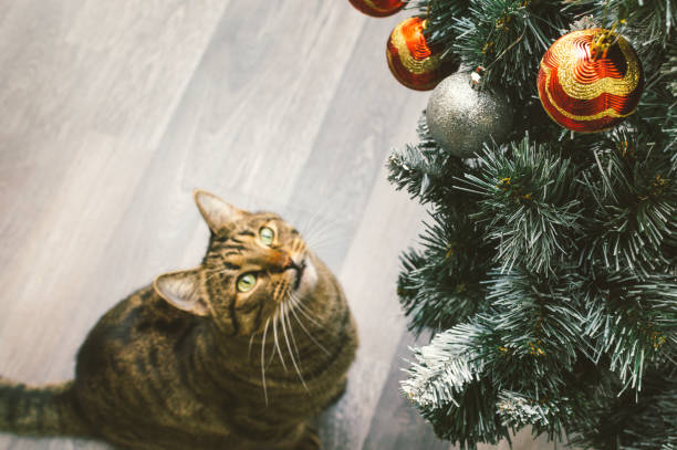istock Christmas tree and cat sitting under it. Copy space 1341086354